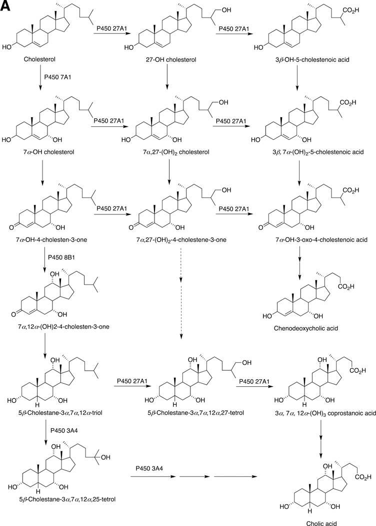 Fig. 14.