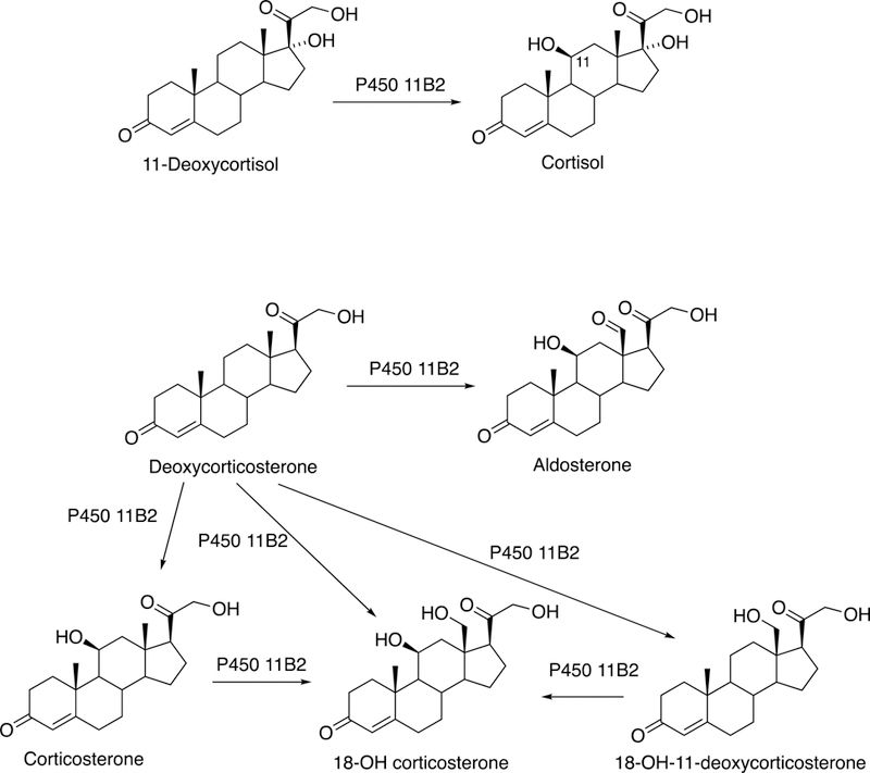 Fig. 10.