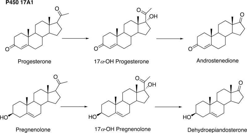 Fig. 11.