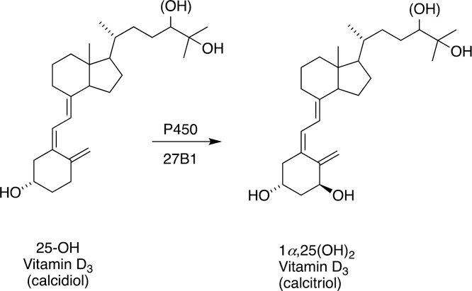 Fig. 20.