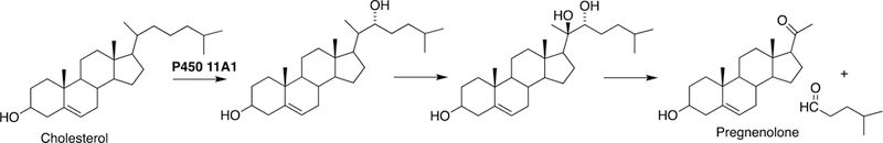 Fig. 8.