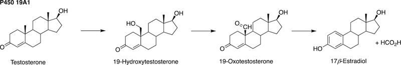 Fig. 12.