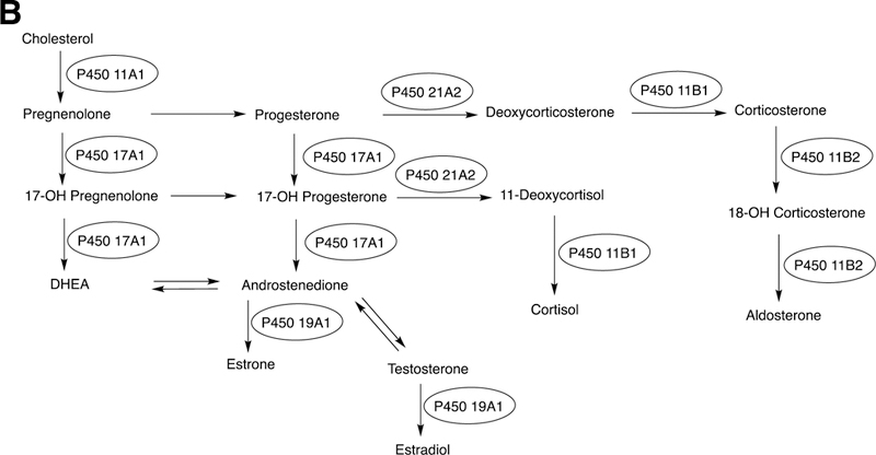 Fig. 4B.