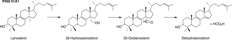 Fig. 17.