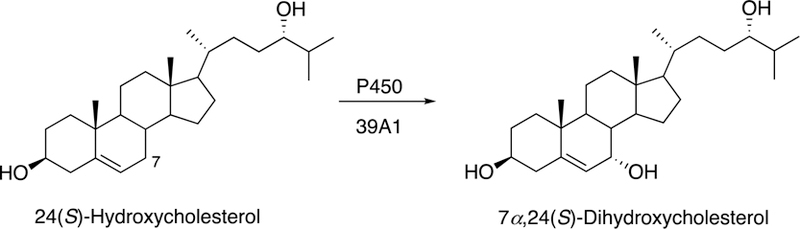 Fig. 15.