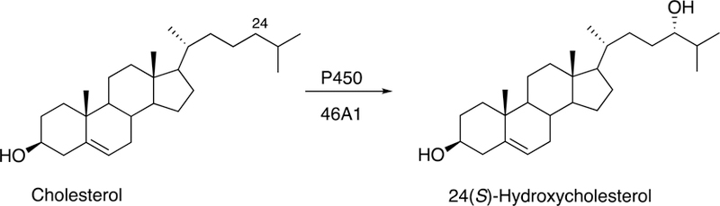 Fig. 16.