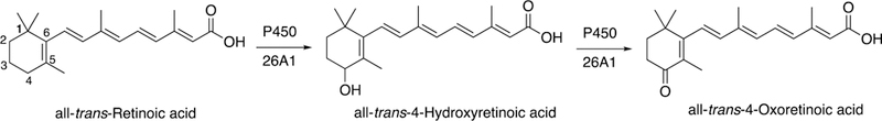 Fig. 22.