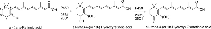 Fig. 23.