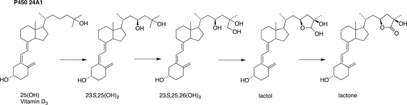 Fig. 19.