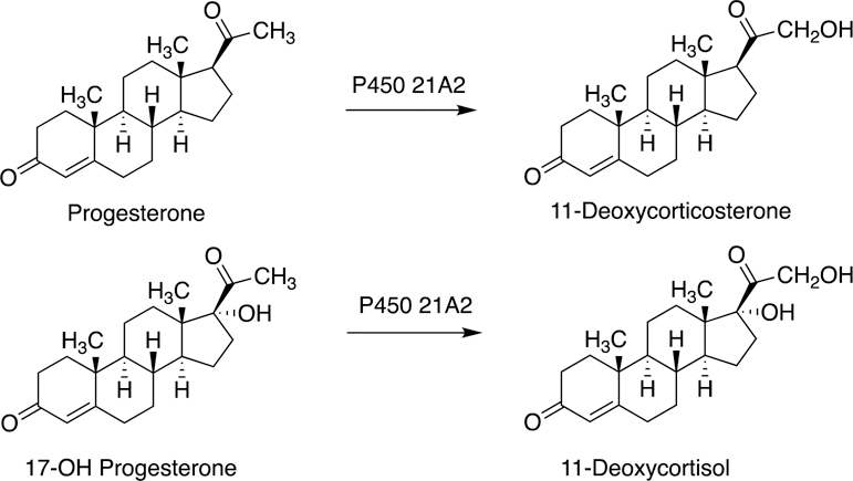 Fig. 13.