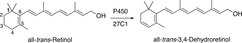 Fig. 24.