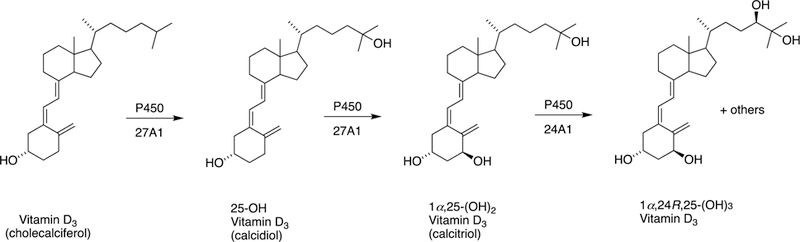 Fig. 18.