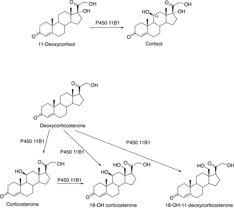 Fig. 9.