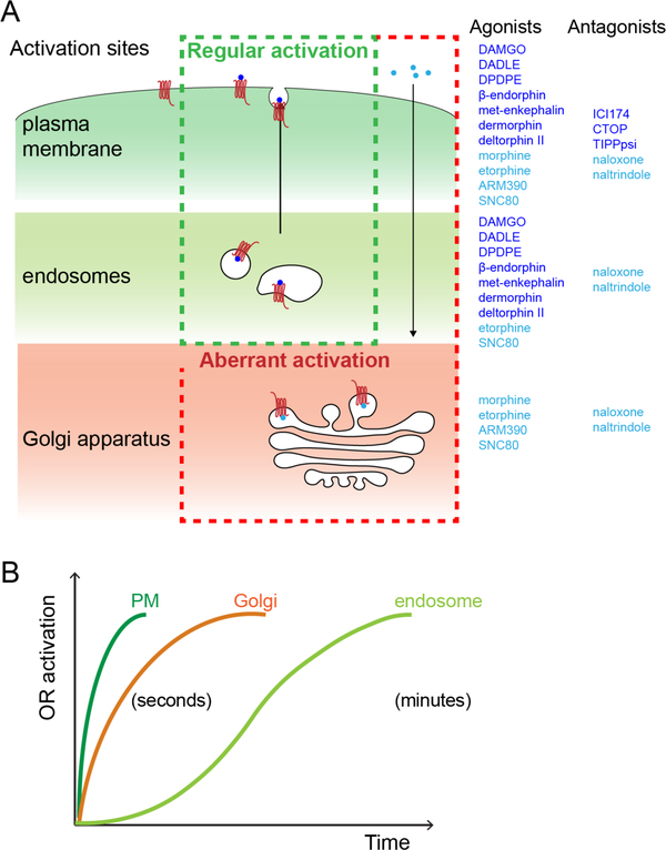 Figure 7: