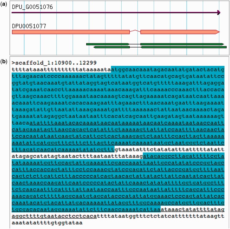 Figure 4.