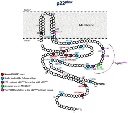 graphic file with name nihms909495u1.jpg