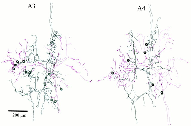 Fig. 11.