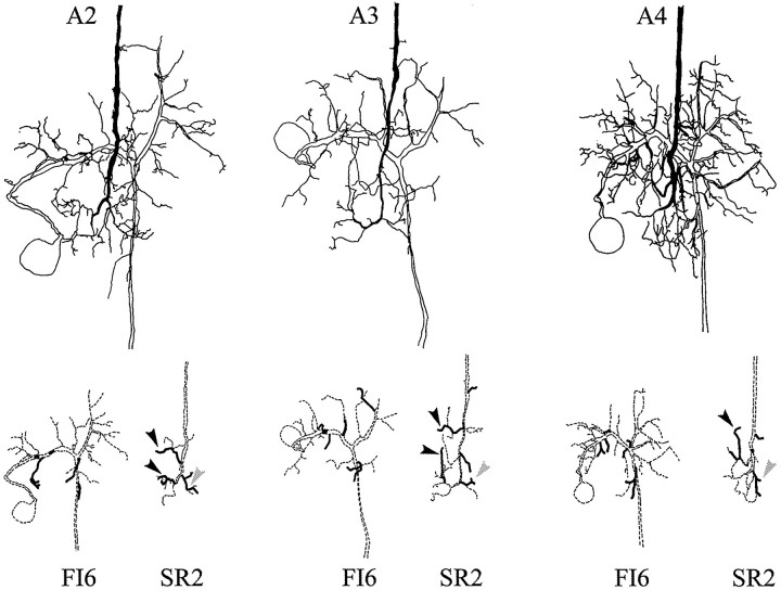 Fig. 9.