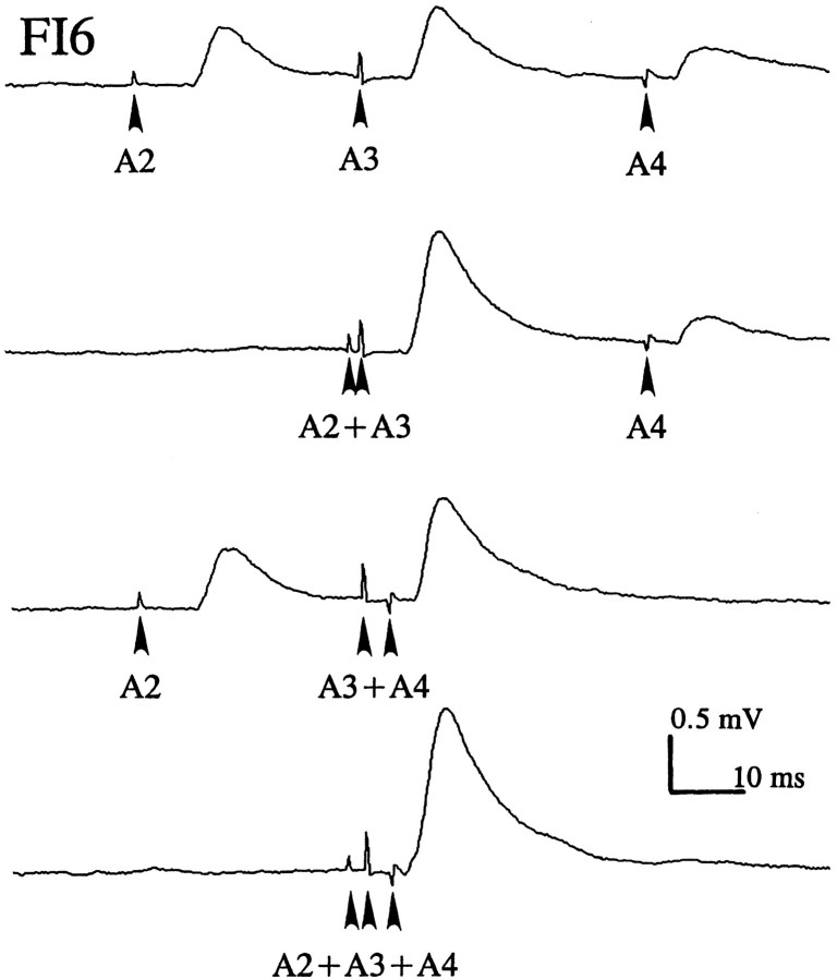 Fig. 6.