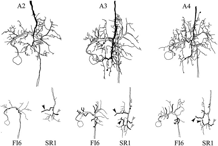 Fig. 8.