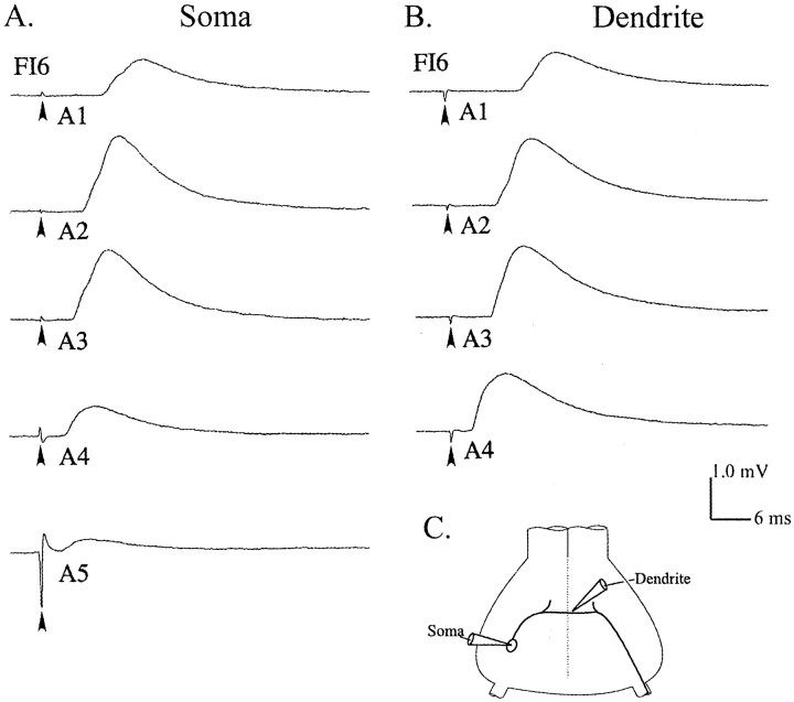 Fig. 2.