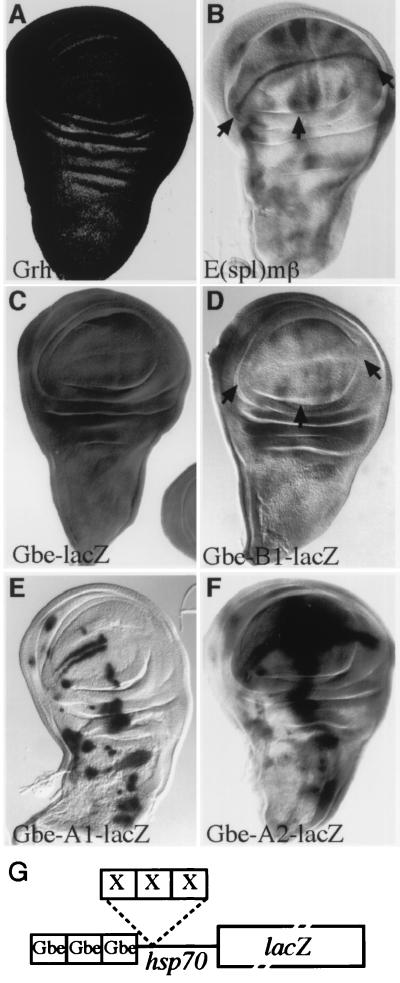 FIG. 5