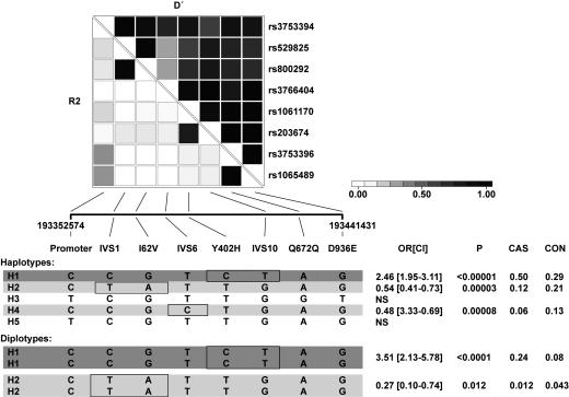 Fig. 3.