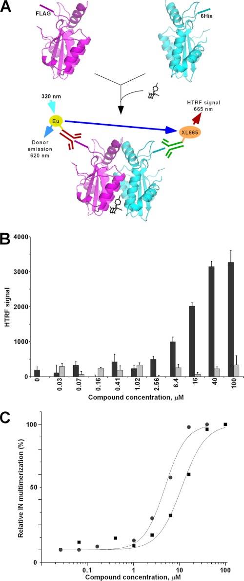 FIGURE 4.