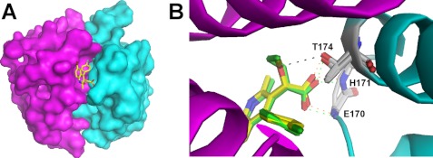 FIGURE 3.