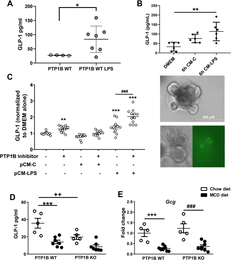 Figure 6