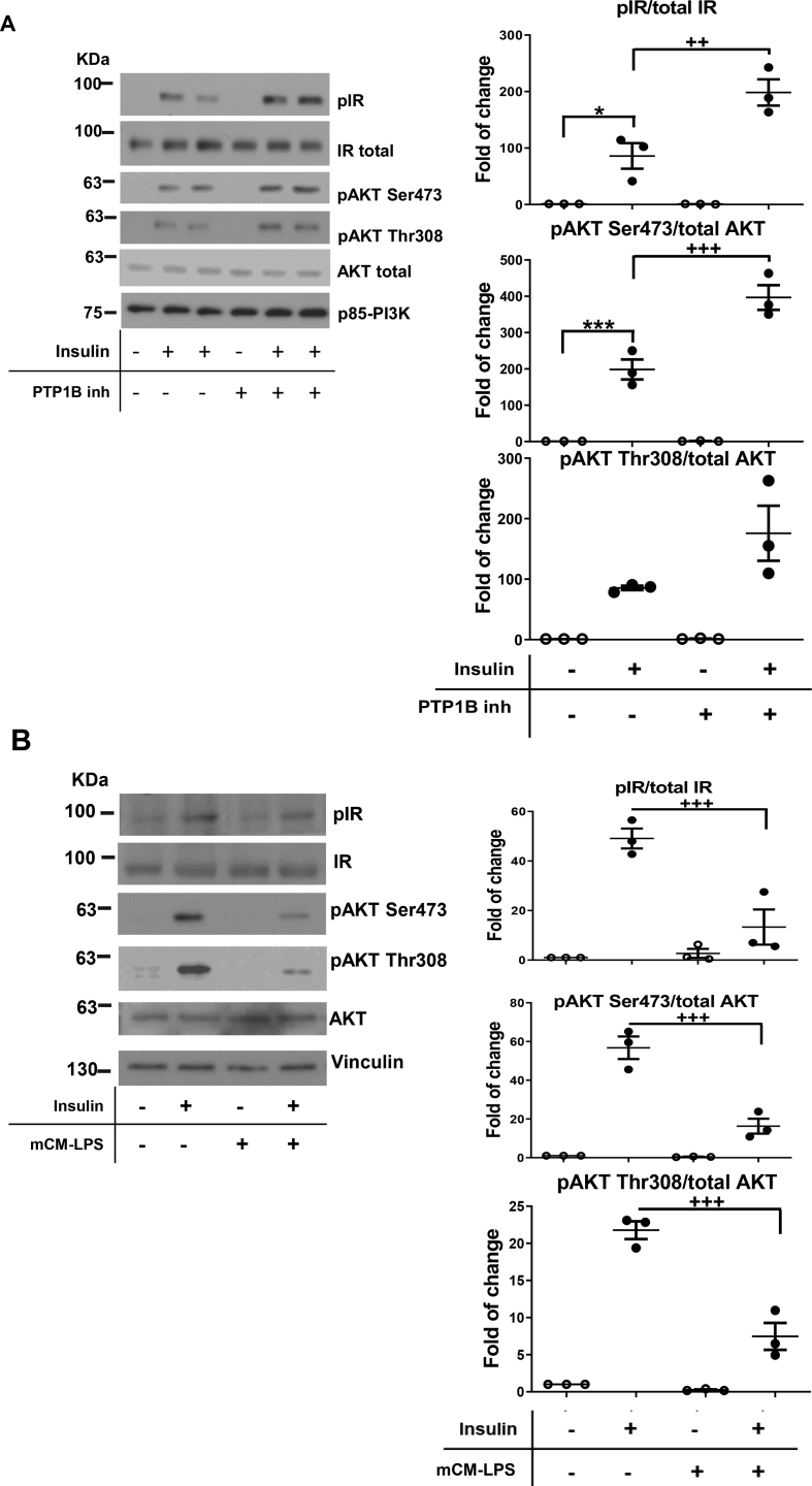 Supplementary Figure 2