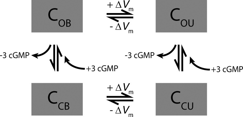 Scheme 1.