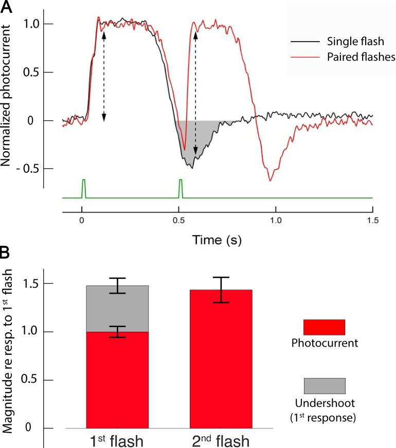 Figure 9.