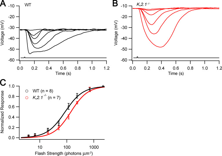 Figure 5.