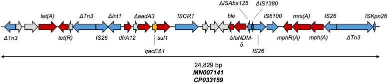 FIG 5