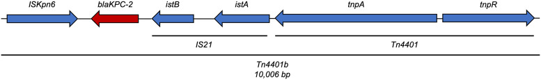 FIG 3