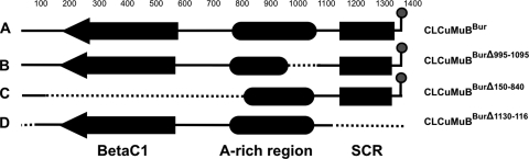 FIG. 3.