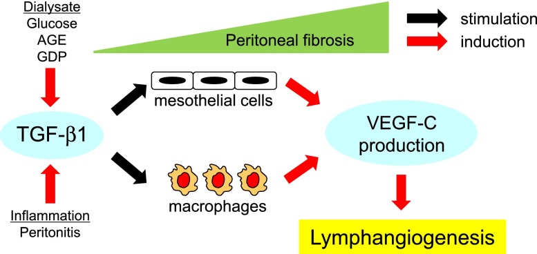 Figure 12.