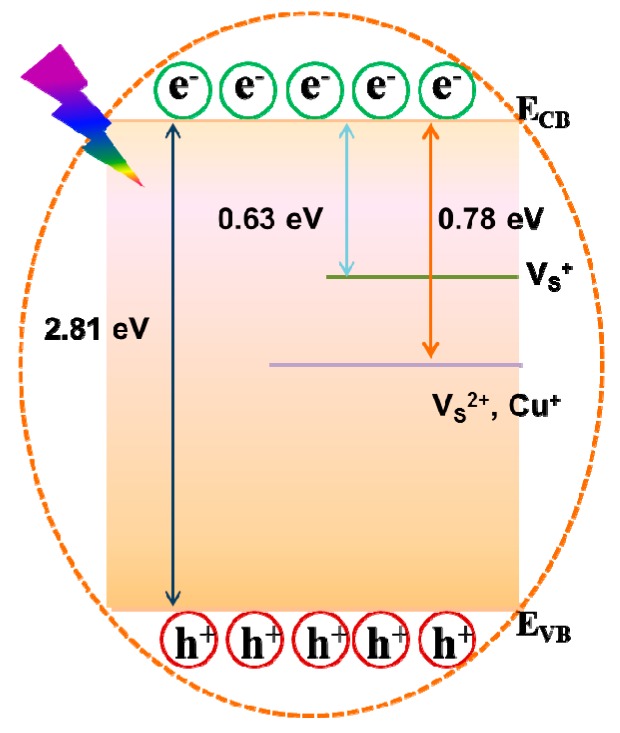 Figure 8