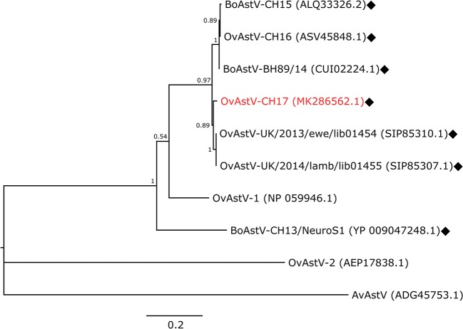 Figure 2