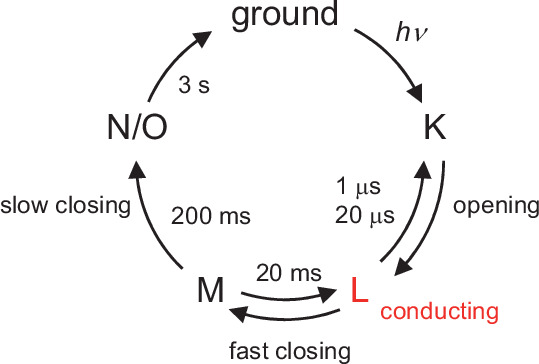 Figure 2.