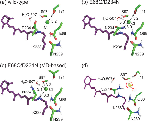 Figure 4—figure supplement 2.