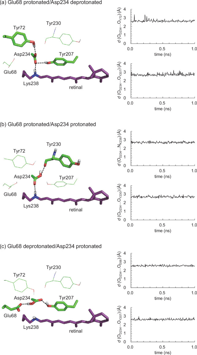 Figure 2—figure supplement 1.