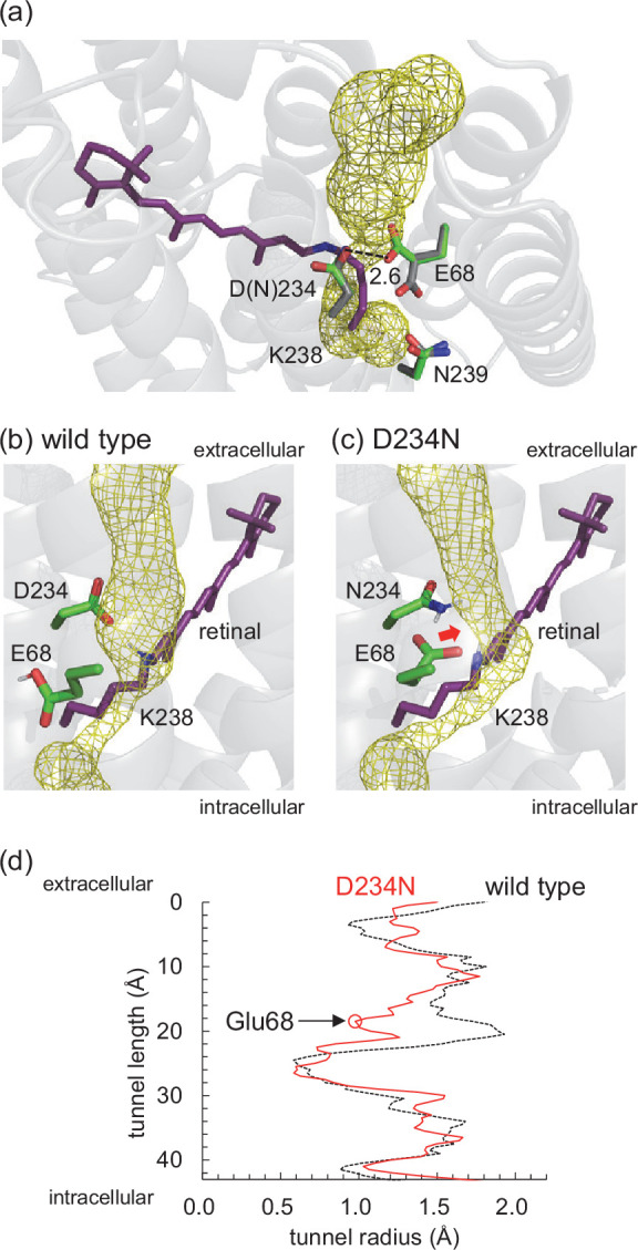 Figure 5.