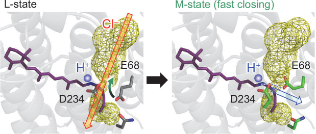 Figure 6.