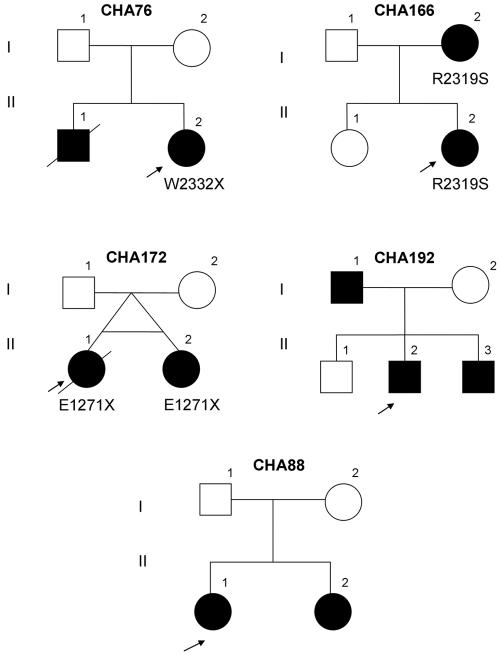 Figure  4