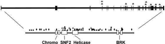 Figure  3