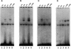 Figure 9.