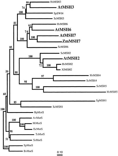 Figure 3.