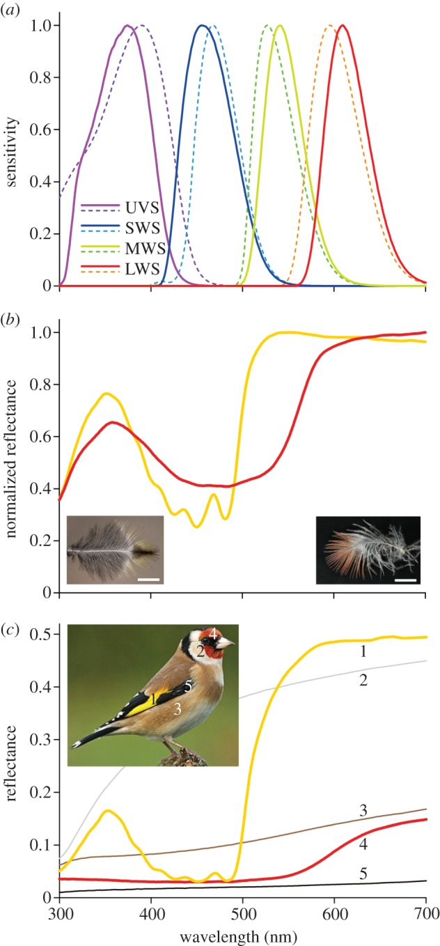 Figure 7.